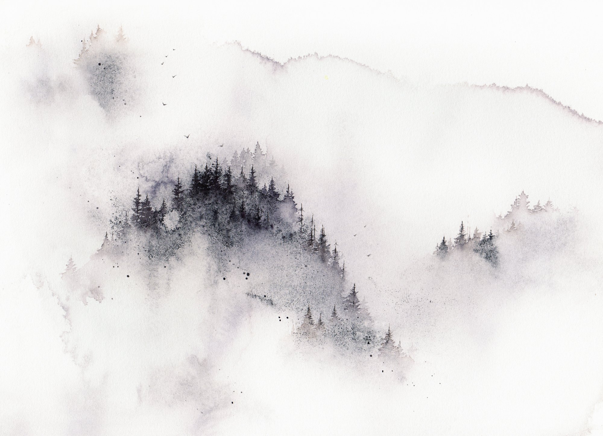 Misty Black White Forest Watercolor Background